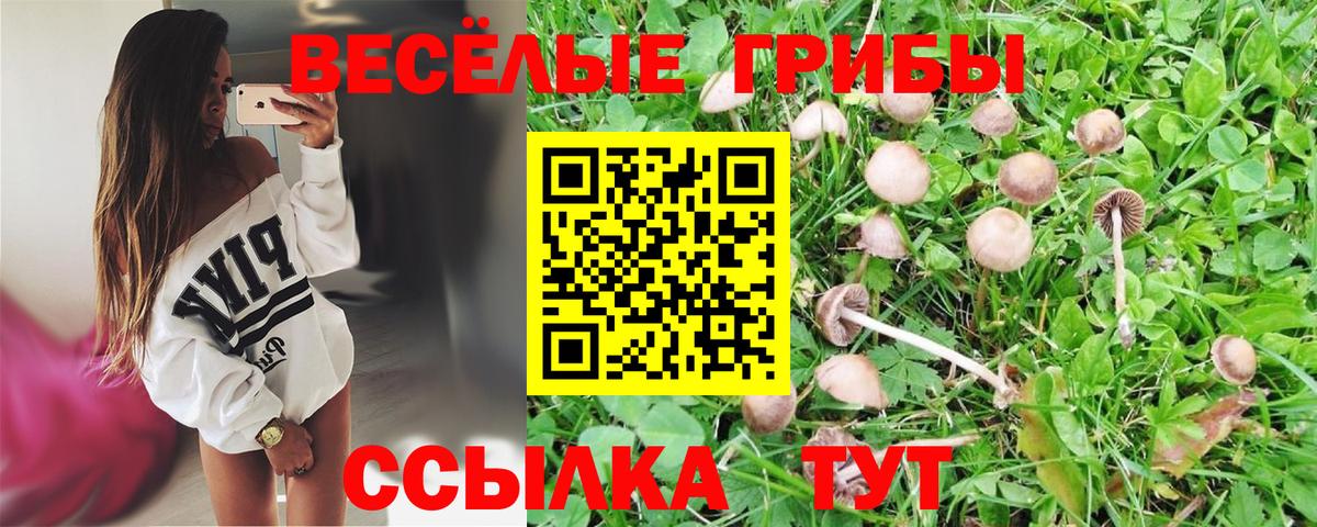 Псилоцибиновые грибы Magic Shrooms Калач-на-Дону